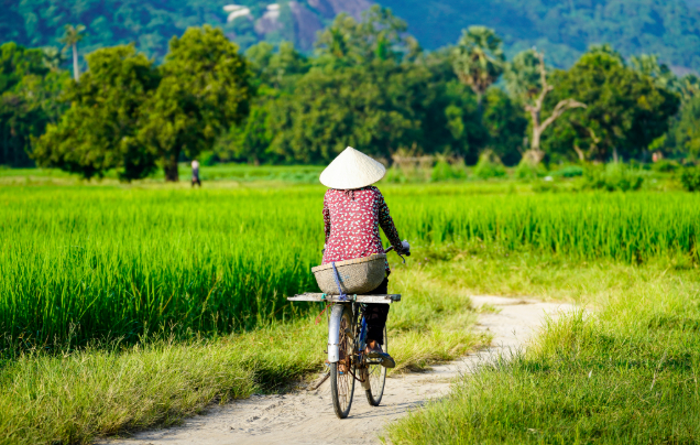 Day 8: Phu Tan & Tiger Island