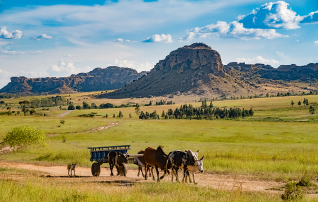 Day 10: Into the South