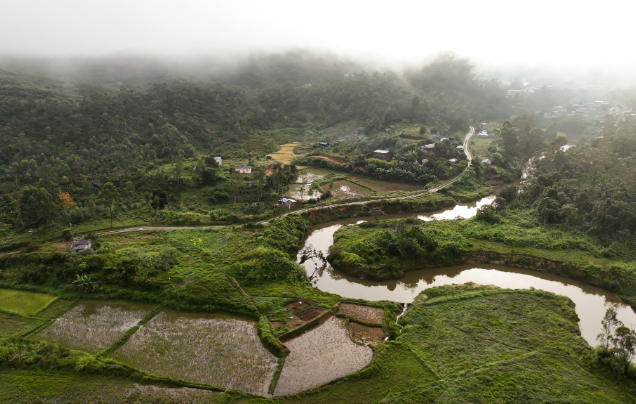 Day 15: Return to Tana