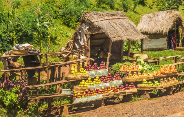 Day 4: 'Garden of Madagascar'