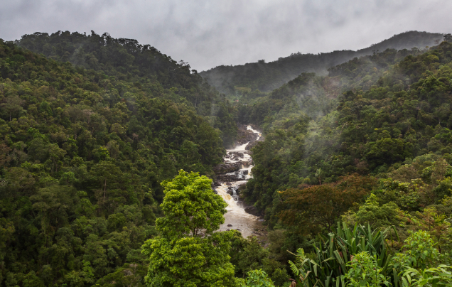 Day 5: Travel to Ranomafana