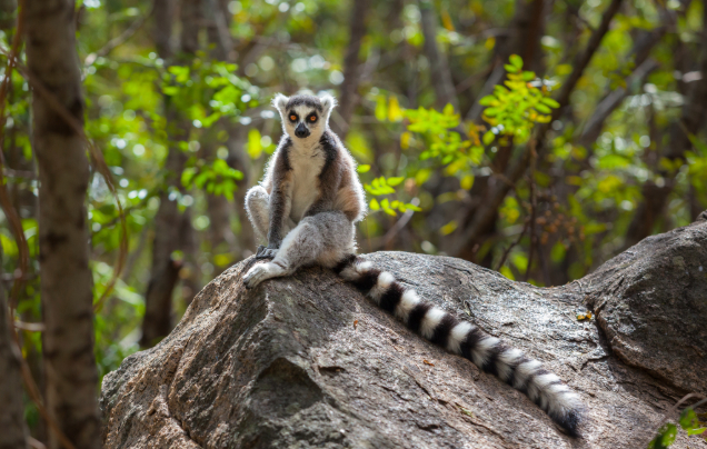 Day 7: Visit Valbio Research Centre