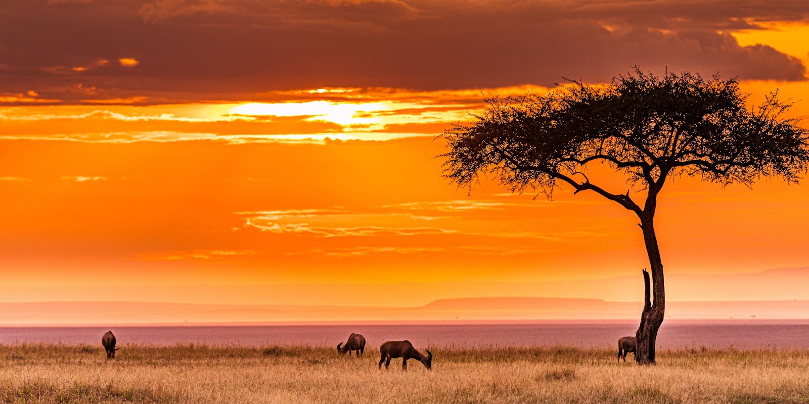 Tanzania Holidays