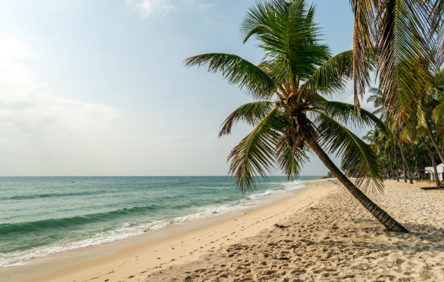 Day 3-5: Zanzibar at leisure