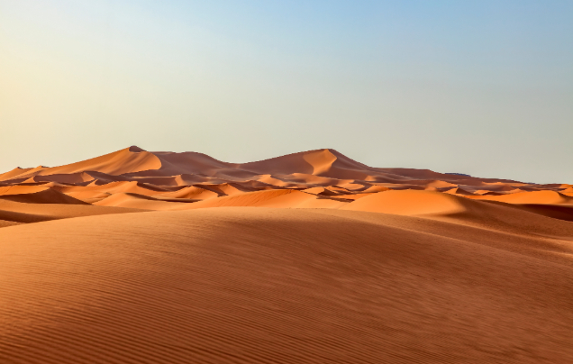 Day 12: Desert Adventure