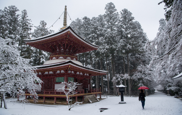 Day 13: Koyasan