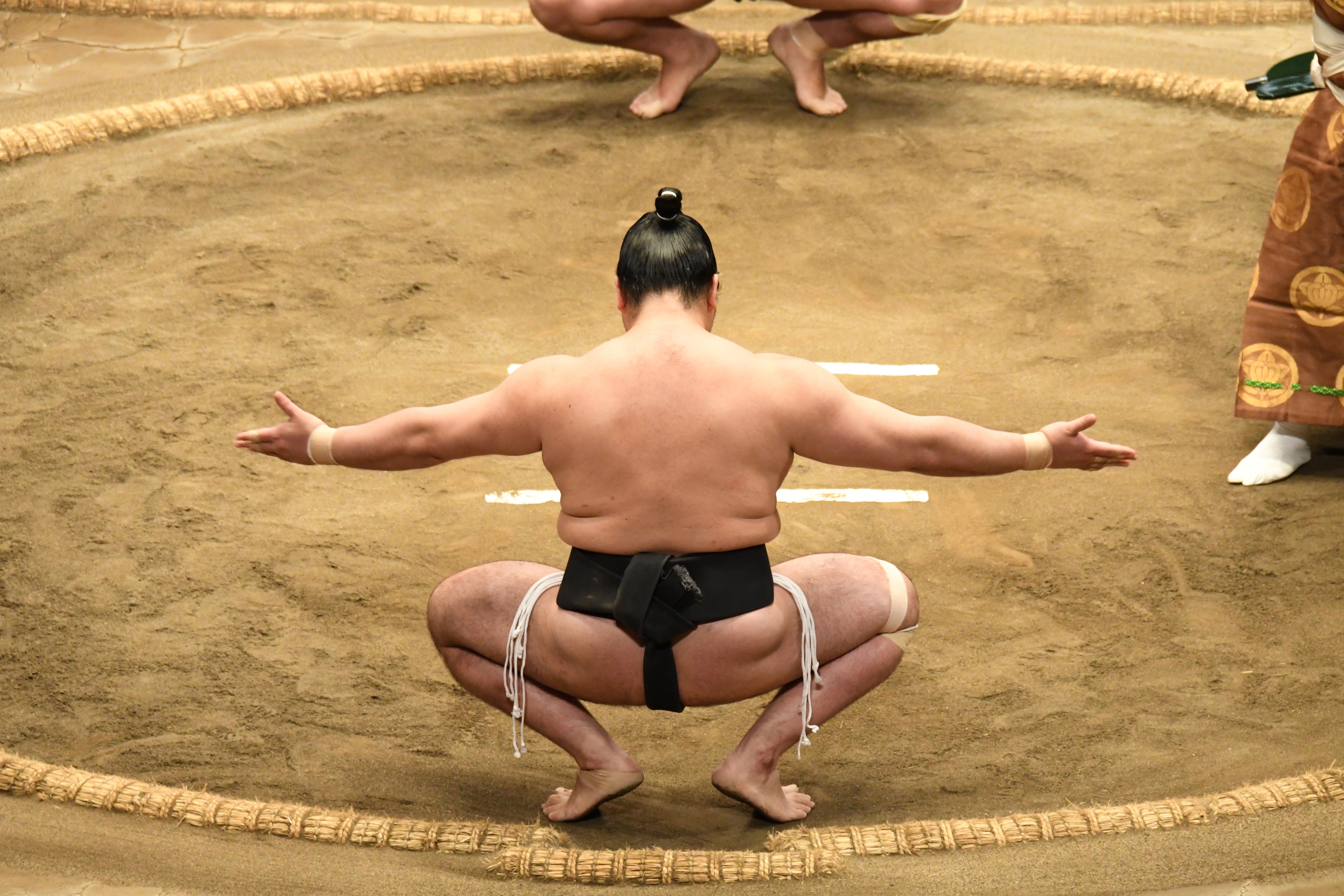Tokyo Sumo Tournament