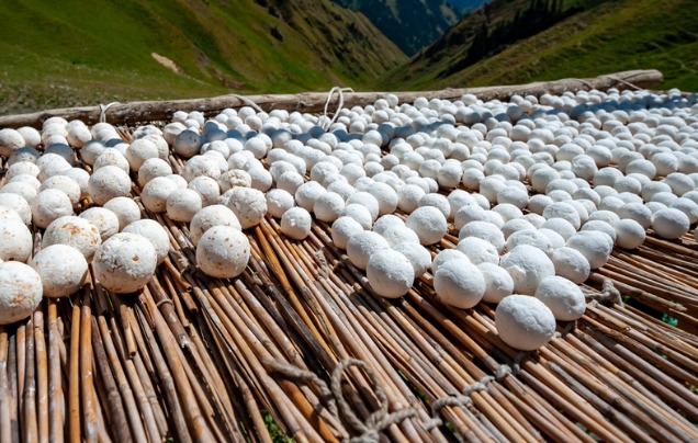 Day 6: Cheese Tasting, Hot Springs & Dine with a Uyghur Family