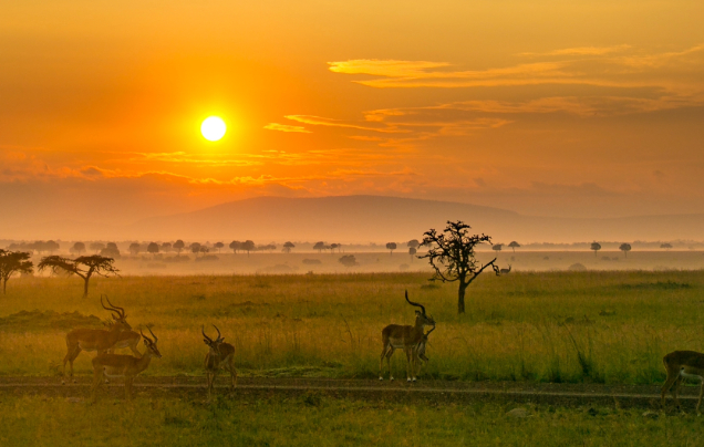 Day 9: Journey to the Maasai Mara