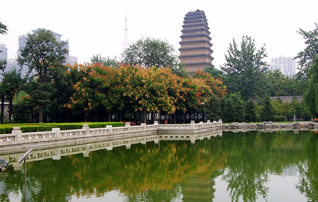 Day 10: Little Wild Goose Pagoda