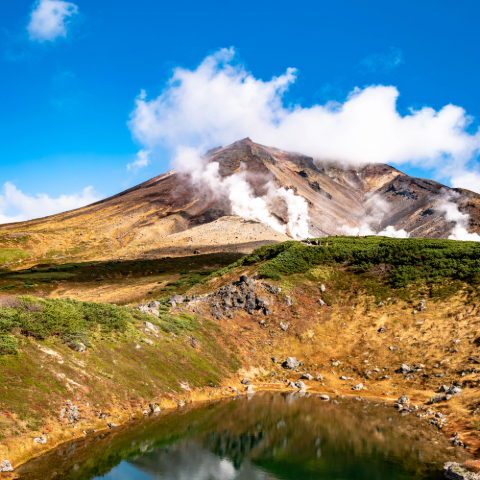 Explore four beautiful National Parks