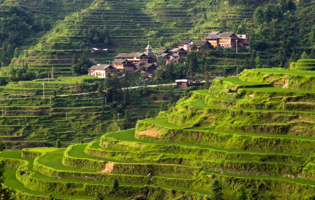 Day 14: Rice Terraces & Batik Making