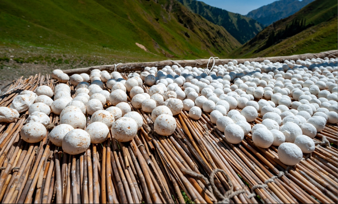 Day 14: Journey to Karakol