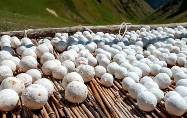 Day 4: Journey to Karakol