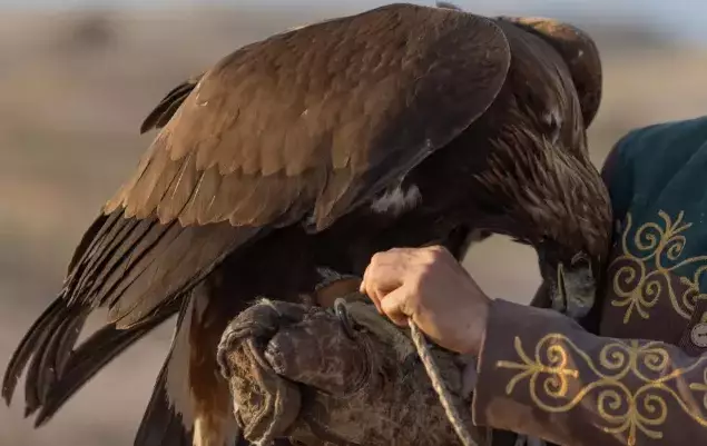 Day 8: Meet an Eagle Hunter