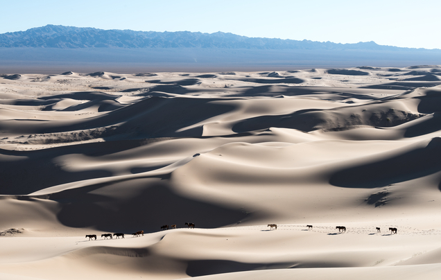 Day 5: Through the Gobi