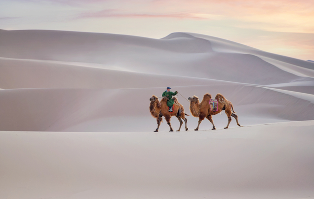 Day 6: Sand dunes of Khongoryn Els