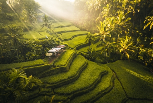 Bali Explorer Short Stay