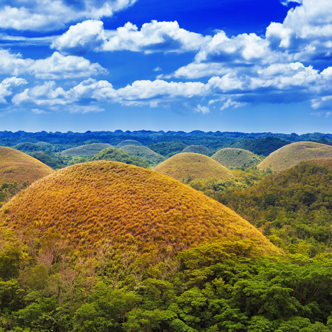 Chocolate Hills
