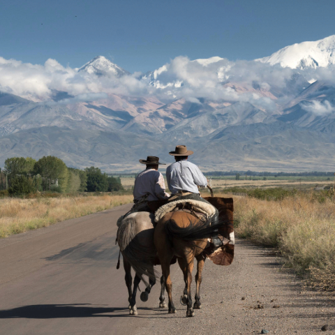 Gaucho Heritage & Estancia Experience