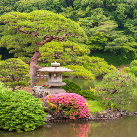 Japan's finest gardens