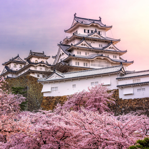 Himeji & Matsumoto