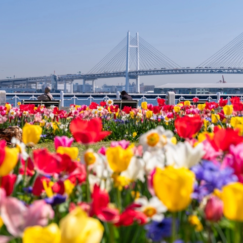 International Horticultural Expo 2027