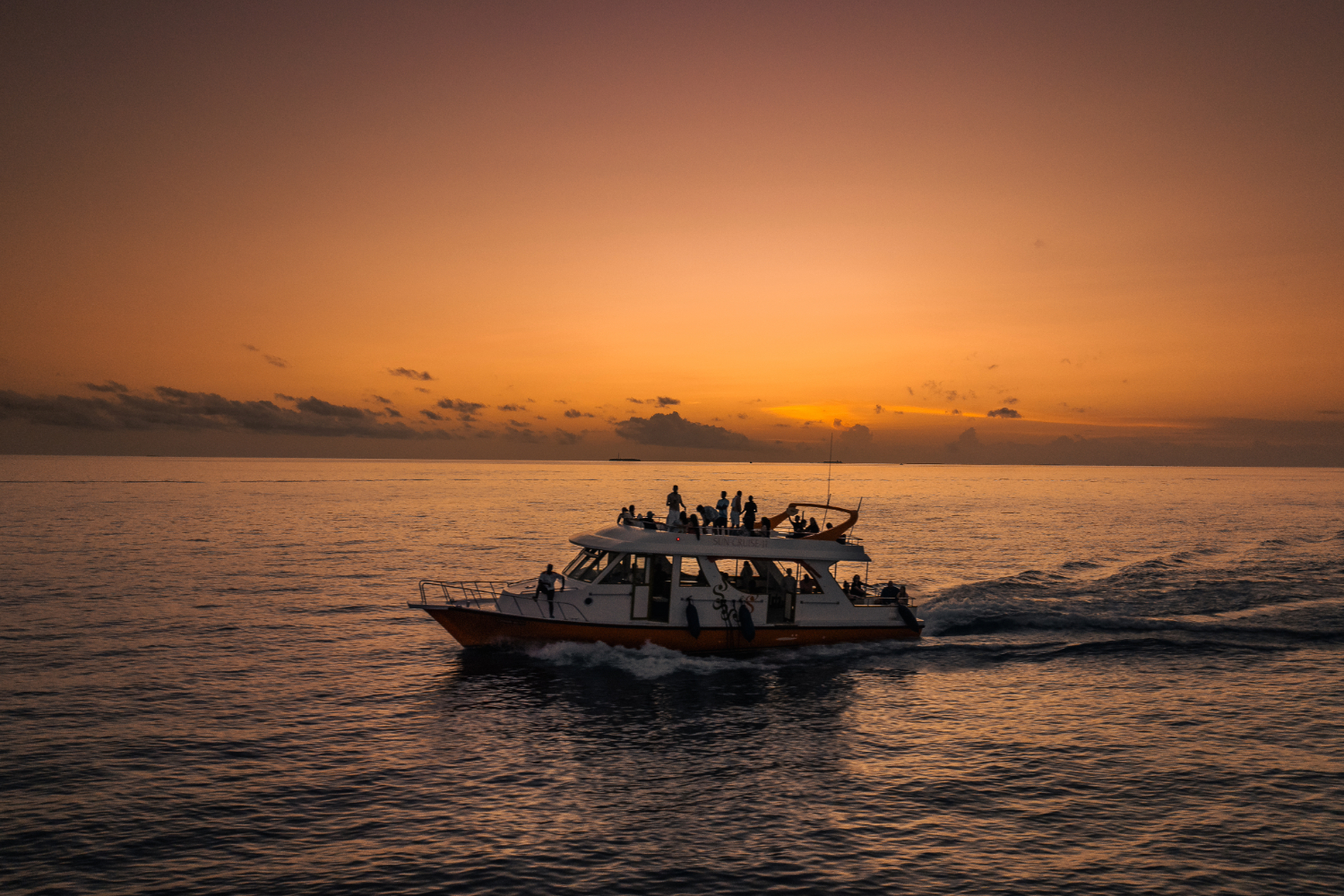 Excursions & Experiences