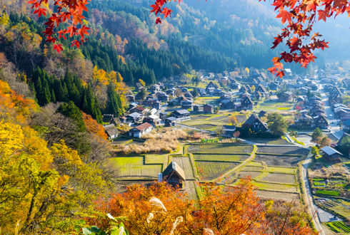 Discover Japan