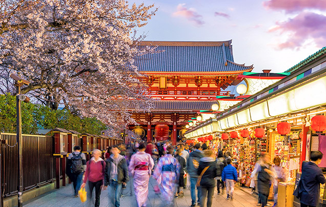 Day 2: Vibrant Tokyo