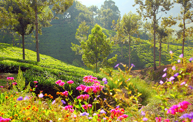 Day 6: Ooty Hill Station