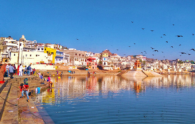 Days 12-13: Pushkar And Khimsar