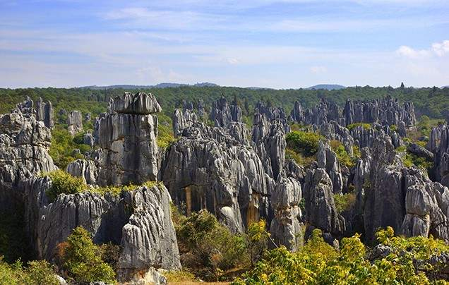 Day 15: Stone Forest