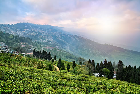 Darjeeling