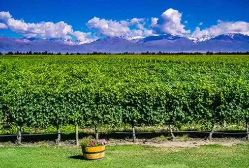 Mendoza