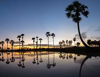 Cruise and Beach Holidays