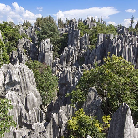 Kunming