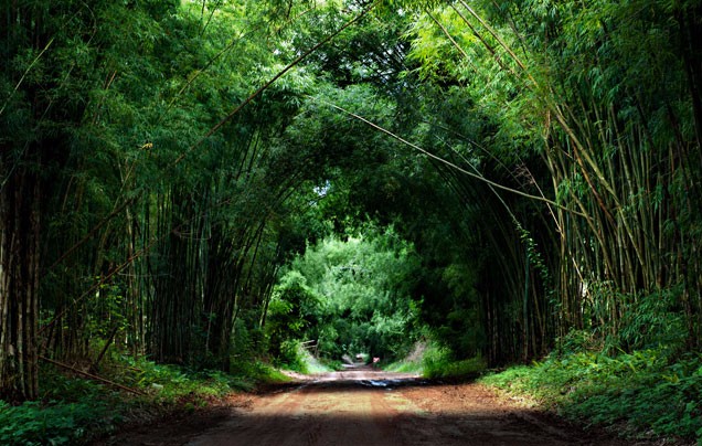 DAY 9: Pingle Ancient Town (Optional)