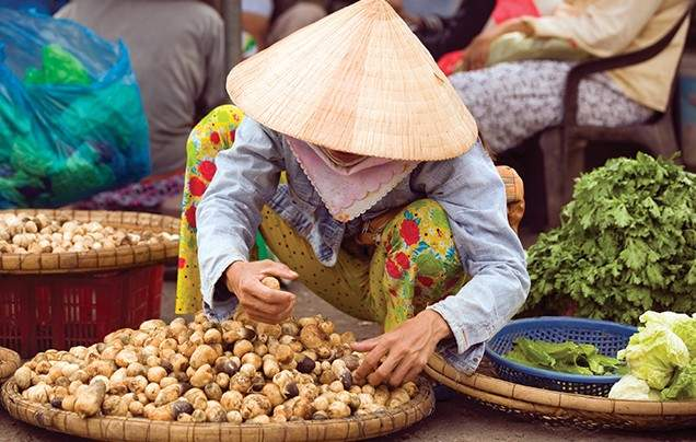 DAY 15: Mekong Delta
