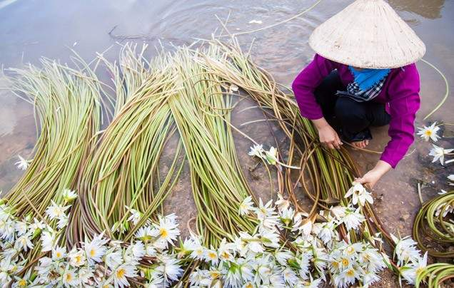 DAY 9: Farmer and Fisherman Experience