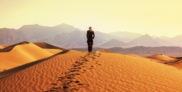 Explore the Gobi Desert